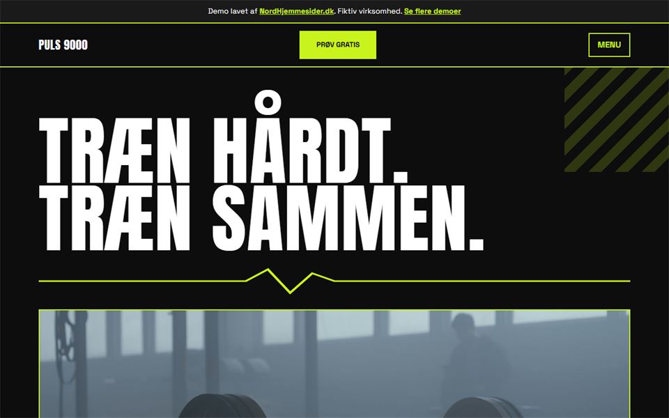 Skærmbillede af demohjemmesiden for Puls 9000