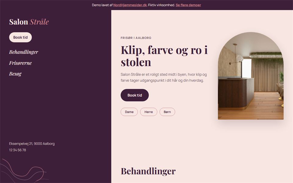 Skærmbillede af demohjemmesiden for Salon Stråle
