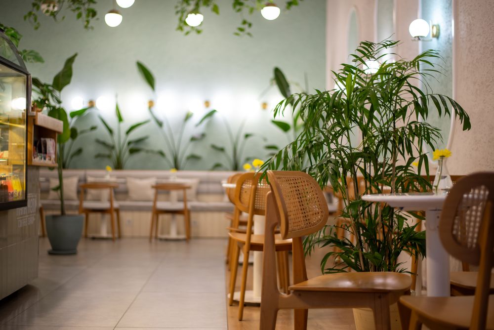 Lyst caféinteriør med rottingstole, grønne planter og pendellamper